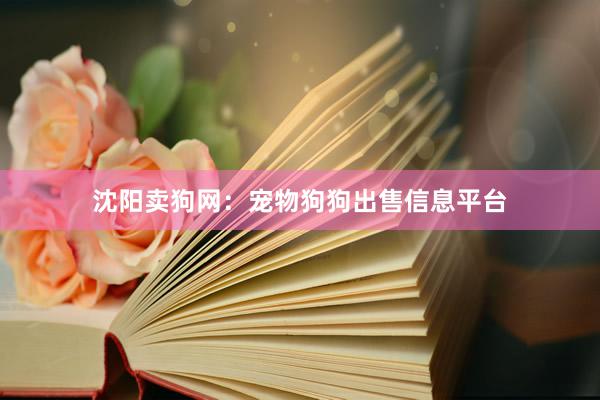 沈阳卖狗网:宠物狗狗出售信息平台